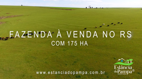 IMAGEM FIXA NA COXILHA.00_00_24_06.Quadro005_4892835caac2a24029bdfb3a95cfd83a6d82344d.jpg